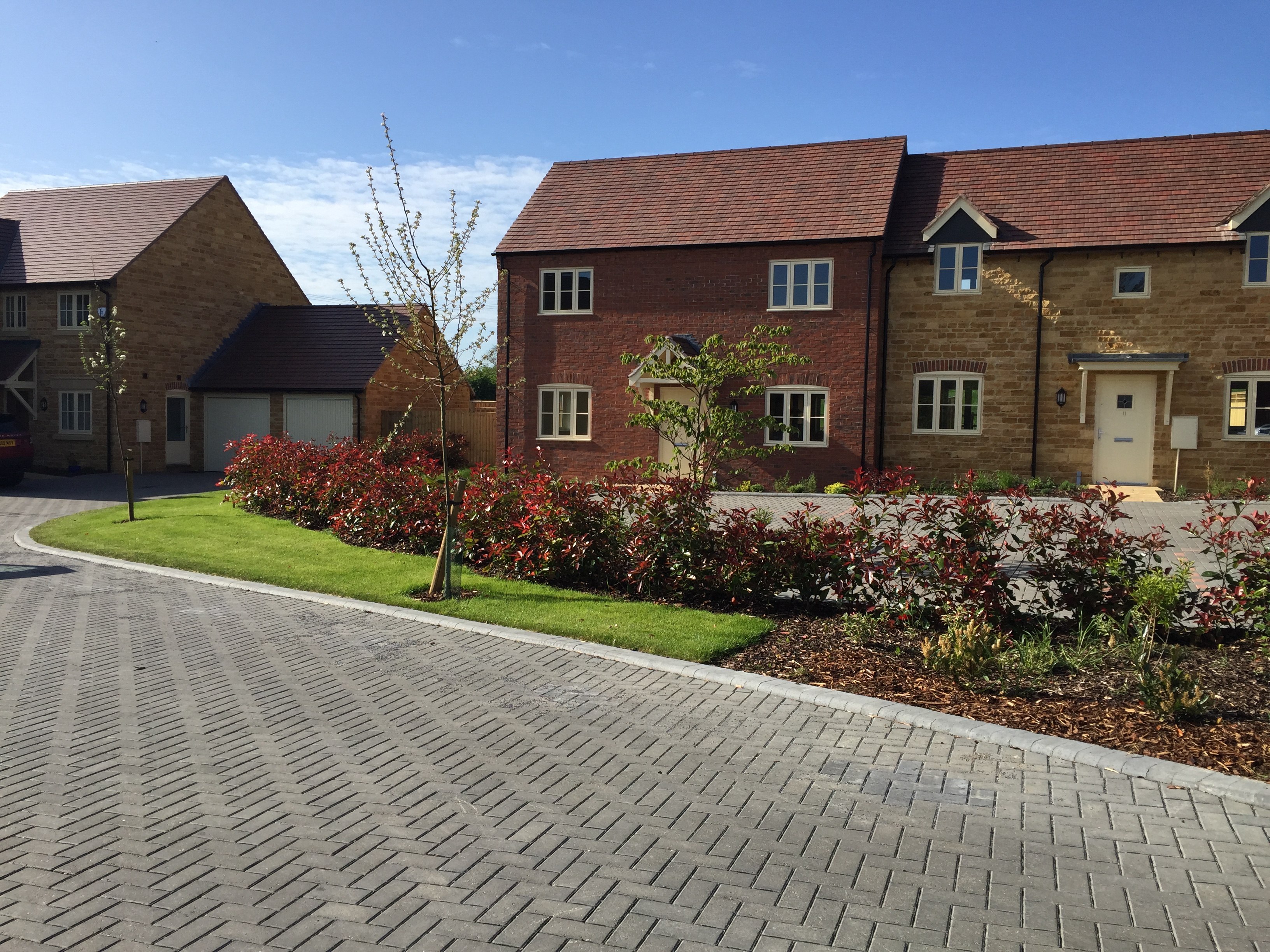 ilmington shared owners