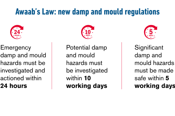 Awaabs Law Infographic