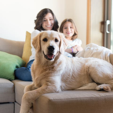 Mum And Daughter With Dog On Sofa